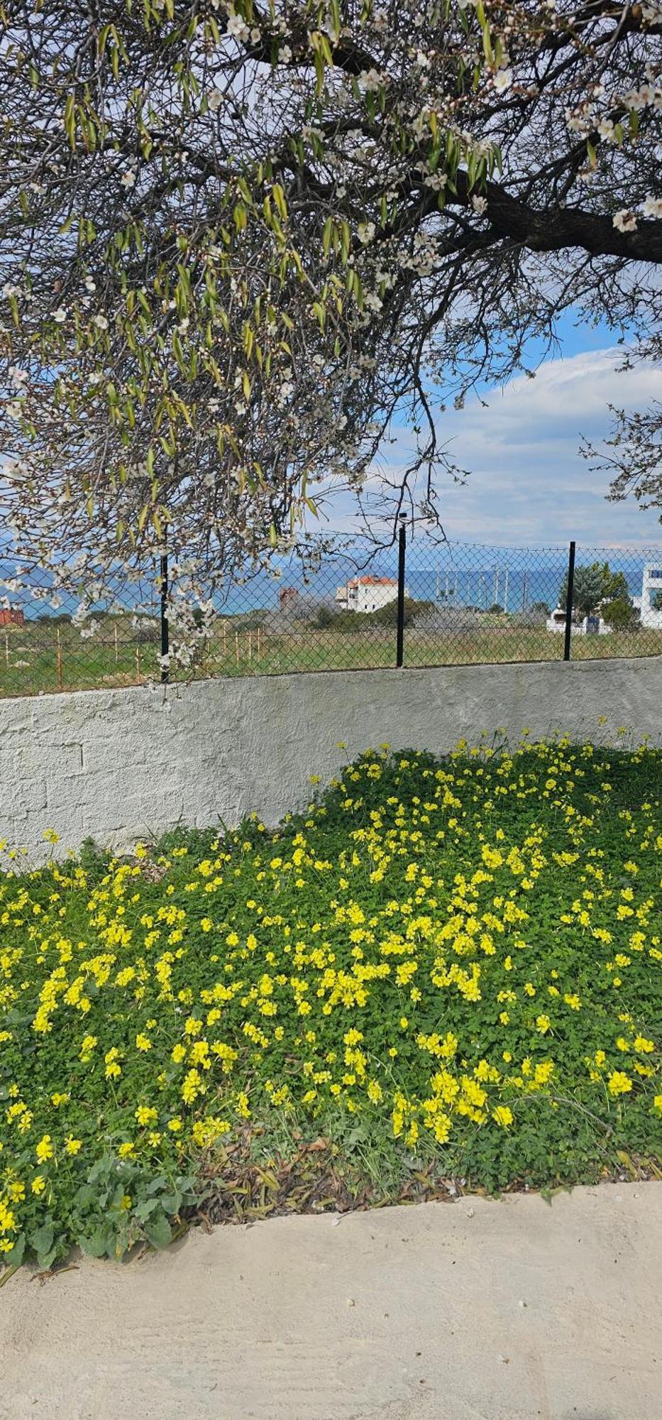 Maria's Place Megalochori (Agistri)
